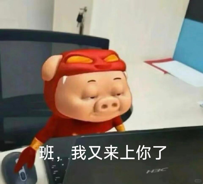 老一辈人说珠圆玉润有福气是真的 老一辈人诚不欺我，果然还是圆润的猪猪最有福气，猪