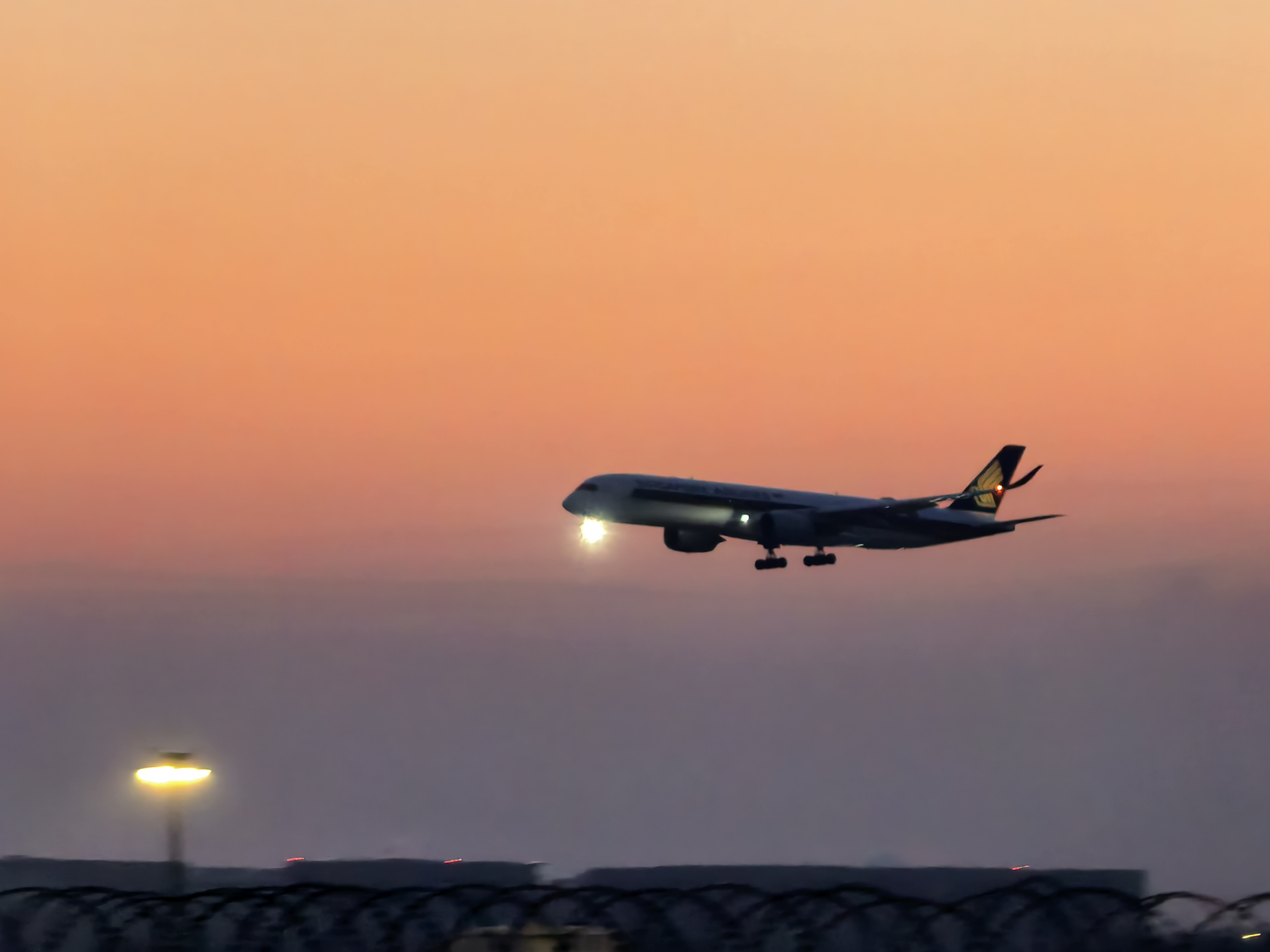 中国航司集体订购356架飞机  南方航空137架（含旗下厦门航空35架）；东方航