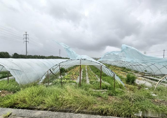 全省首笔台风农险理赔在台州2小时到账 最见功力的是“无独有偶”里的服务共识。不光
