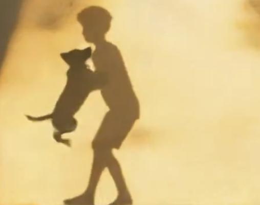 特朗普称自己是和平缔造者你怎么看他用事实告诉人们，他的名字起的千真万确——特狼普