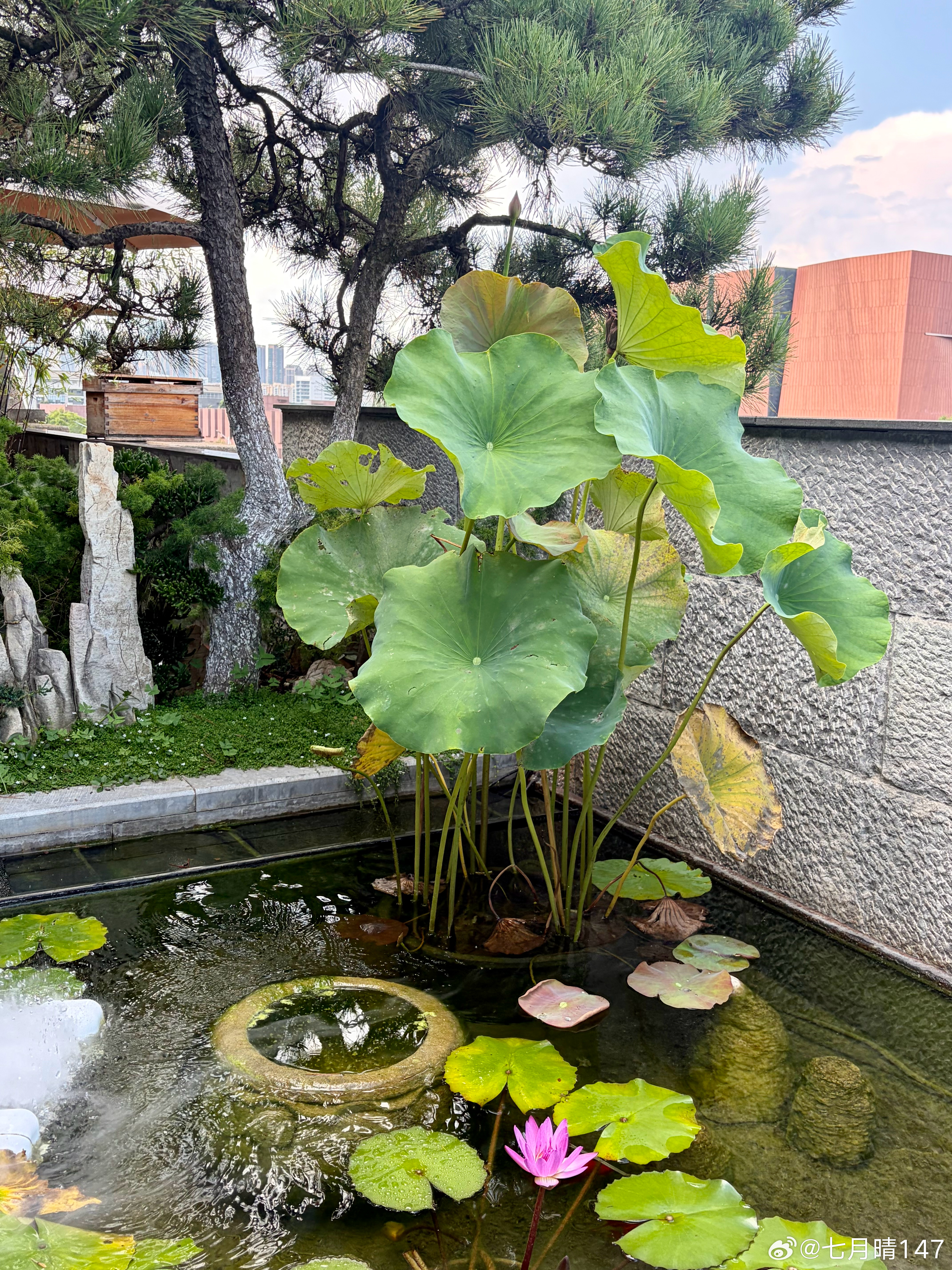 一杯咖啡就可以坐一下午超大桌子好合适💼📑还是得出门，拖延症都治好了 昆明·龙
