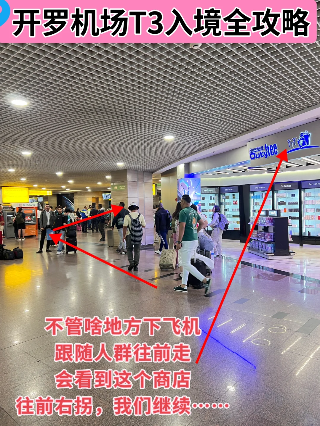 开罗T3航站楼入境，跟着我，图文指引一看就懂