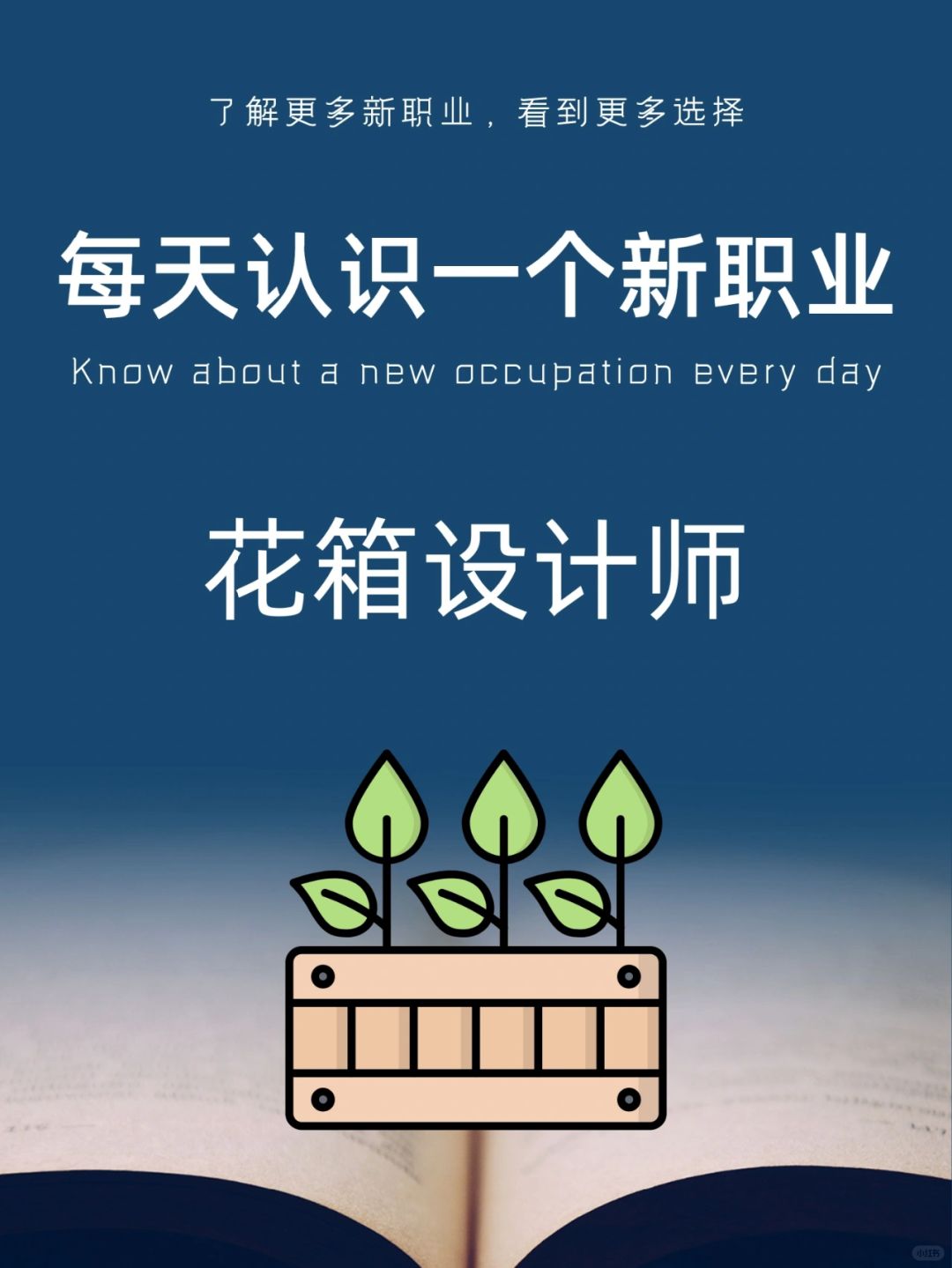 每天认识一个新职业｜花箱设计师
