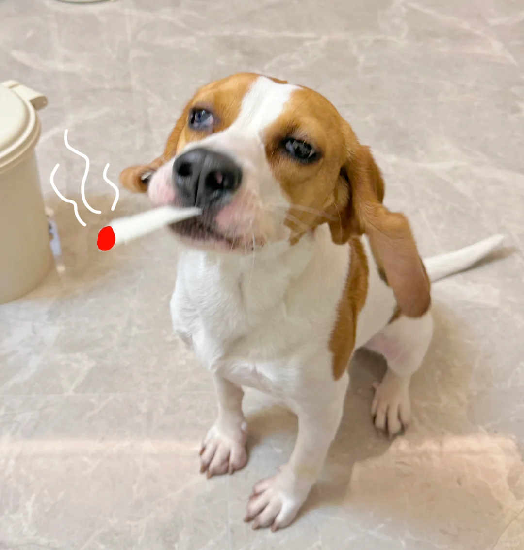 是的，私下里烟酒都来