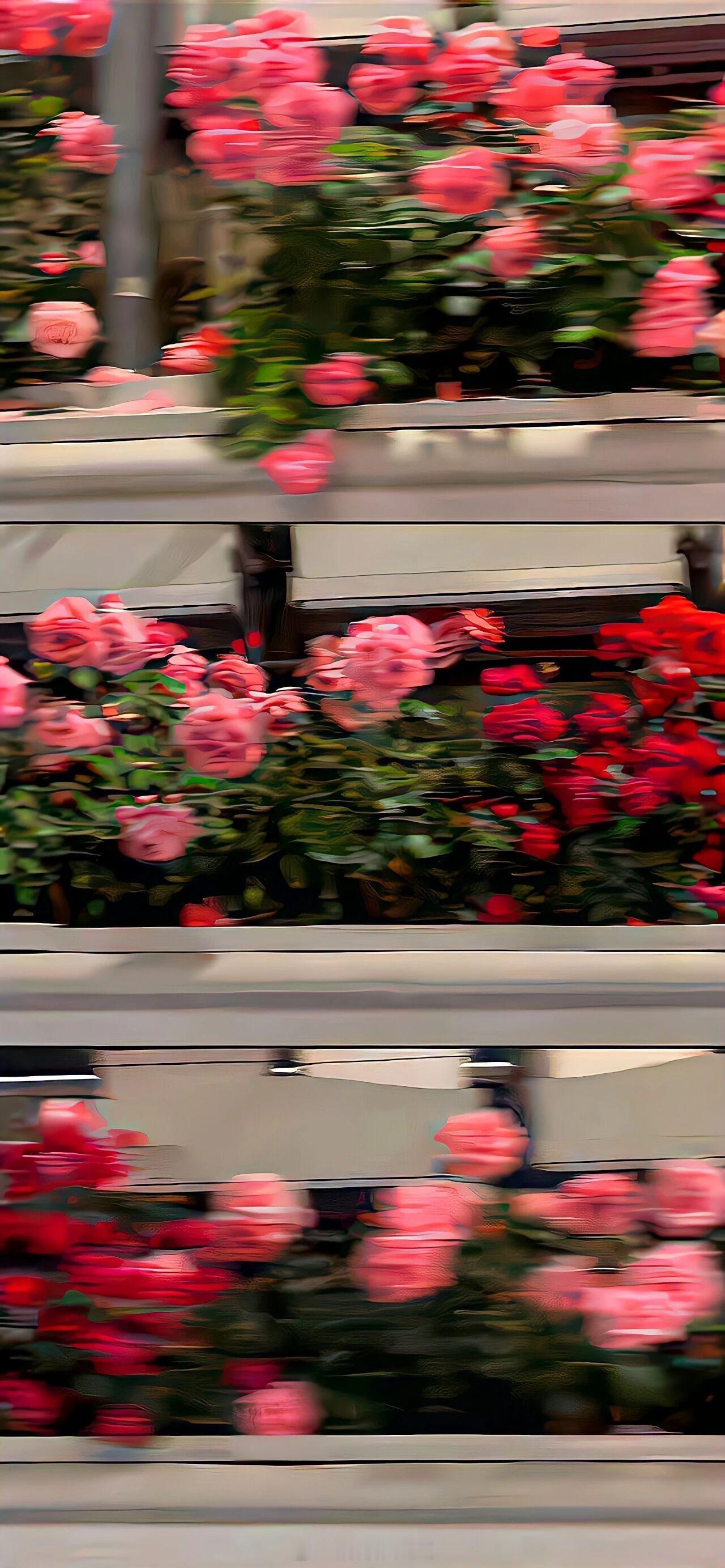 多谢你如此精彩耀眼，做我平淡岁月里的星辰。——《我见月光》晚安