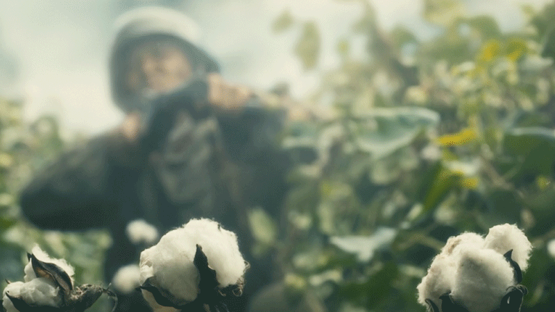 追觉醒年代的感觉又回来了 这种看好导演拍好演员的安心感跟当时追觉醒年代完全一样啊