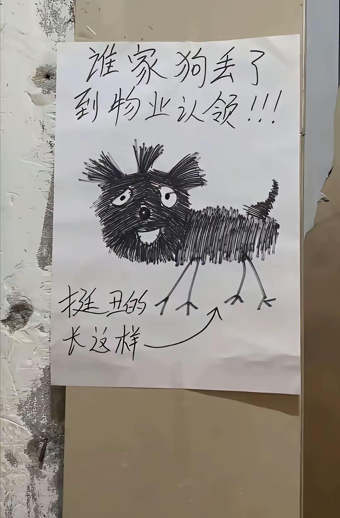 物业张贴公告：谁家狗丢了，到物业认领！
很多人见了画，觉得这狗也太丑了吧？怎么有