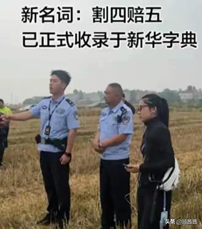 割四赔五彻底闹大！数千农机手连夜撤离，襄阳紧急出手，网友怒了
 
谁也没想到，一