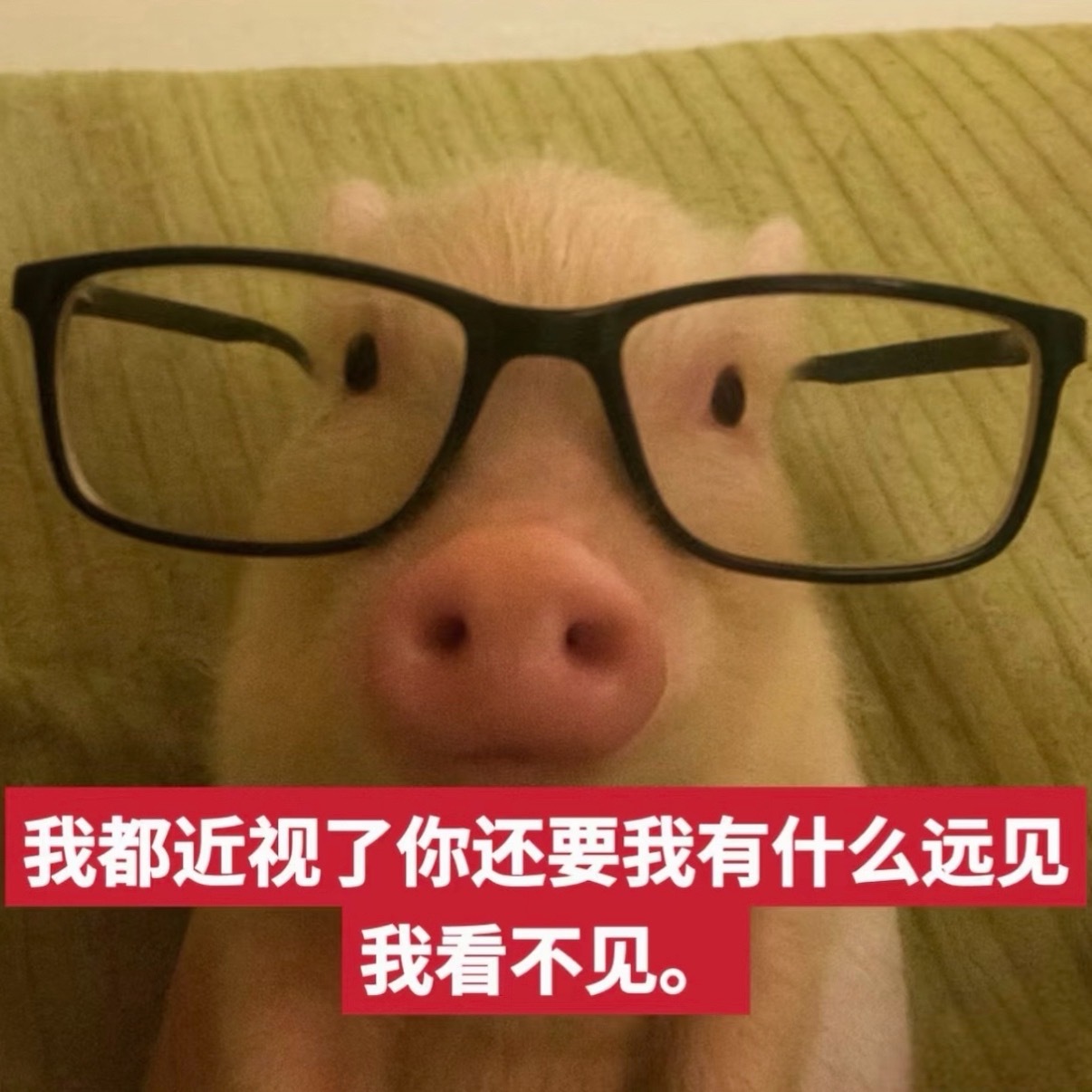 一直理解不了这个搭配，马甲大帽子叠卫衣大帽子叠帽子，像lulu家的人台在展示单品