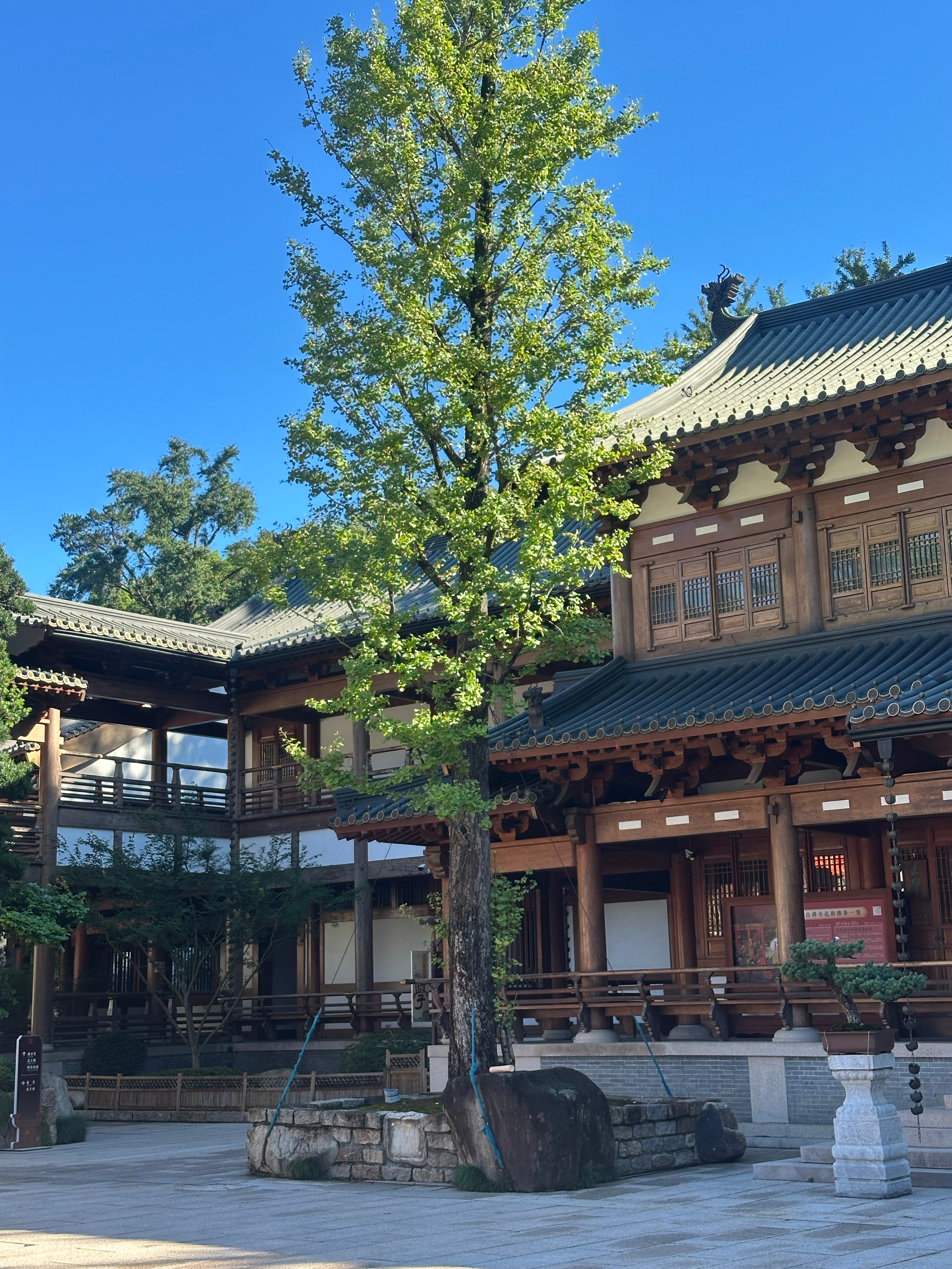 早起和小周周去径山寺抄了经 还把咱俩的风铃挂在一起 心想事成～～～[好运连连] 