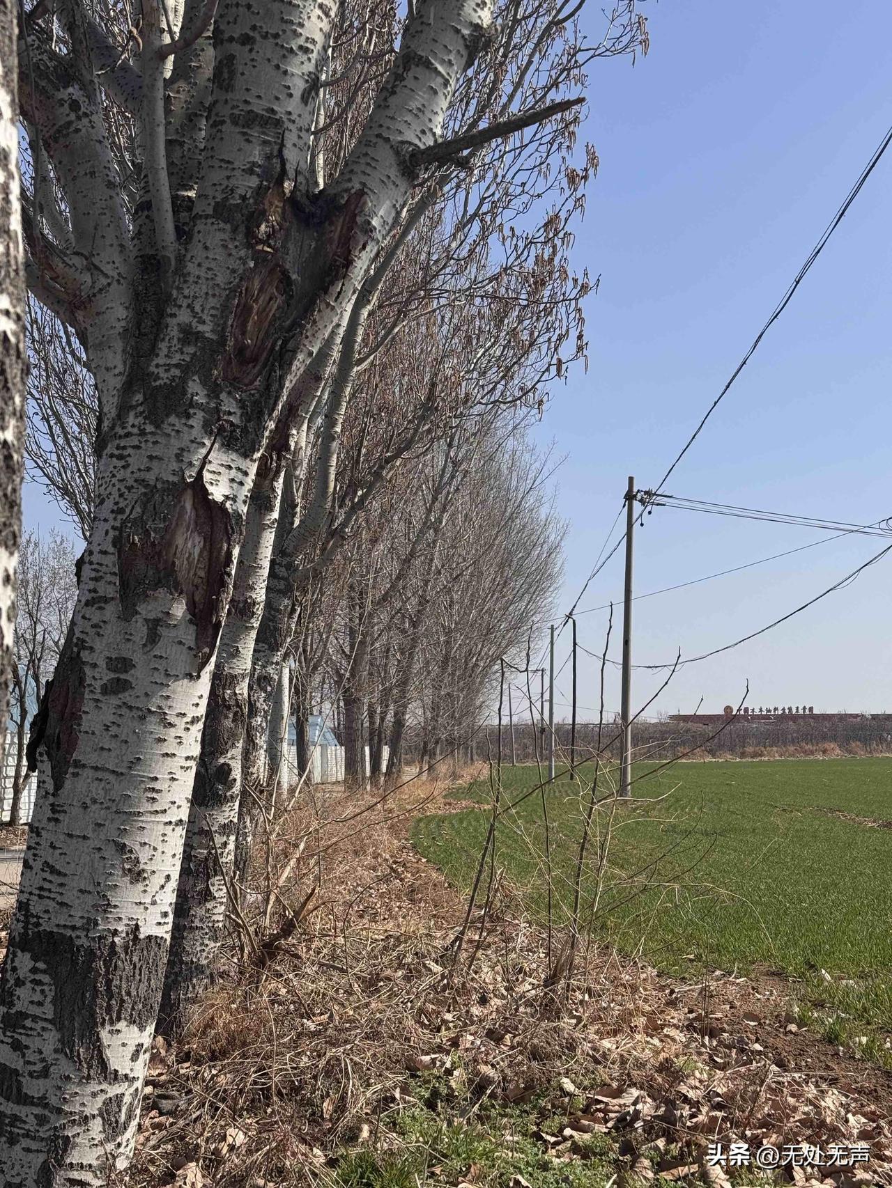 上了一天班，拖着疲惫的身体回到家。

刚刚坐在沙发上，婆婆当着她的面扫地，说“回