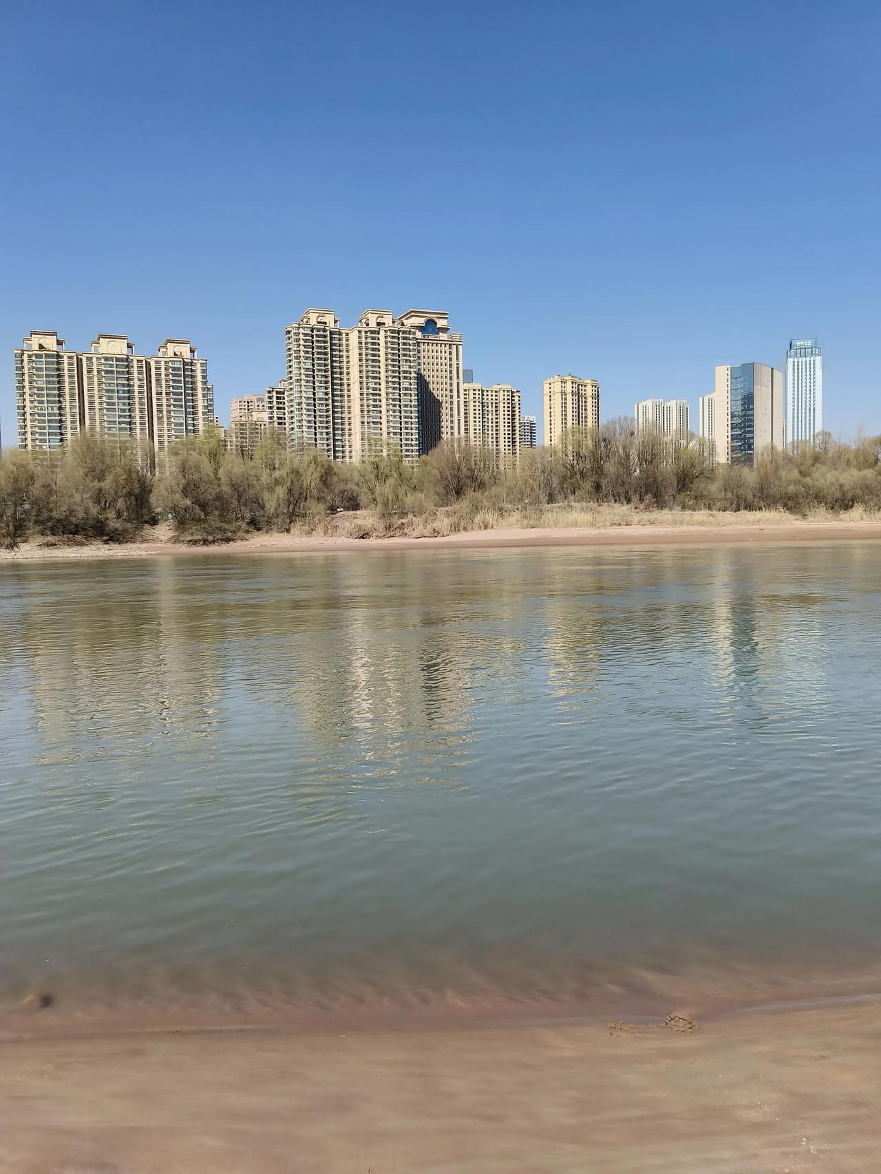 柳树也在发芽，眼看着兰州这春天的气息越来越浓。