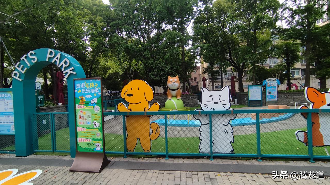 你能接受人狗同桌吃饭的餐厅么随着时代的发展，喜欢宠物成为有些男女老少的最爱，老人