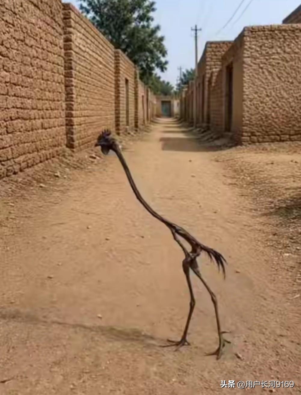 股市里的散户为什么会被反复收割——会怪的怪自己，不会怪的怪别人

一、有人只要在