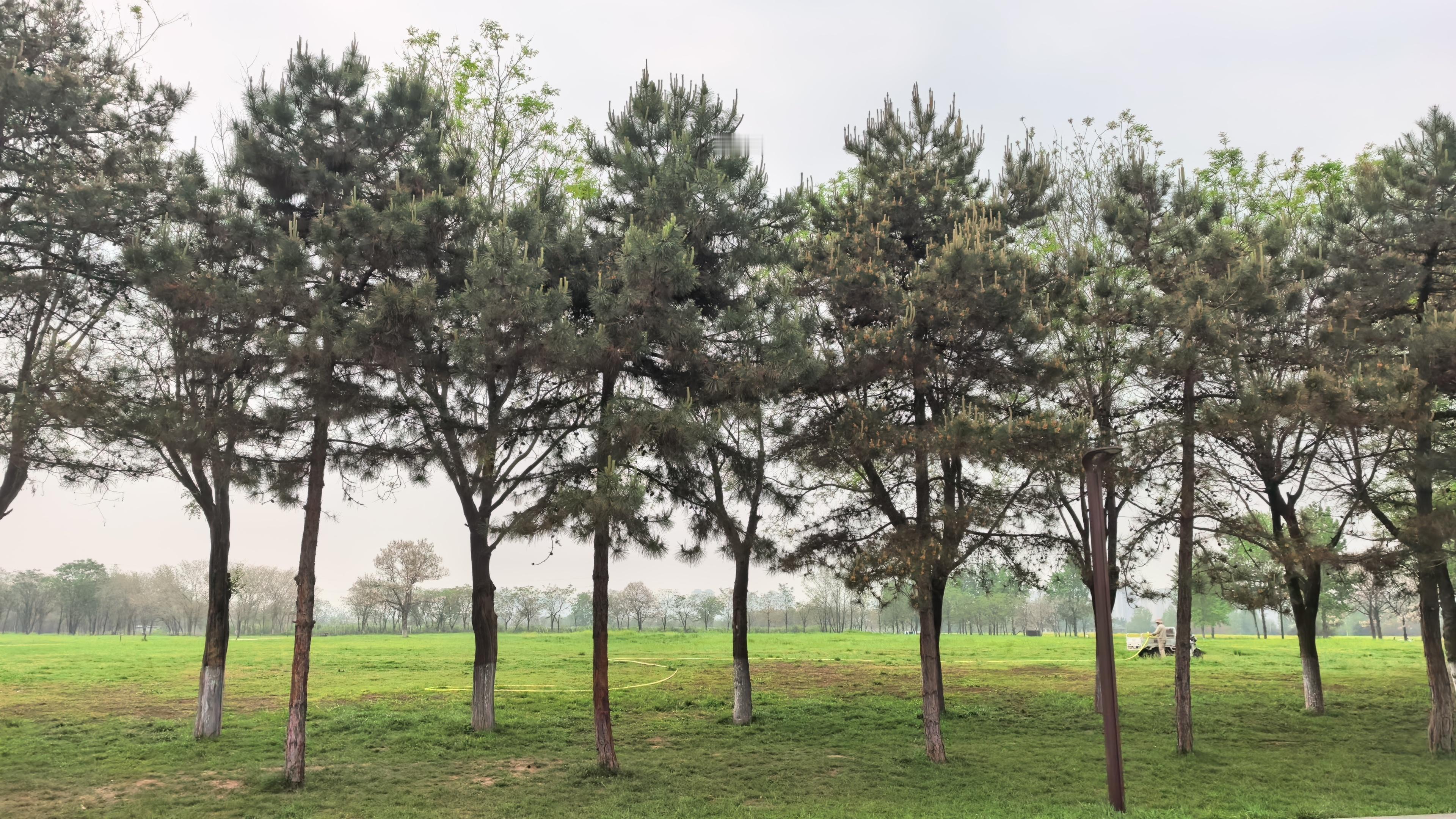 长安的HEV怎么样？ 咸阳·西安咸阳国际机场T5航站楼