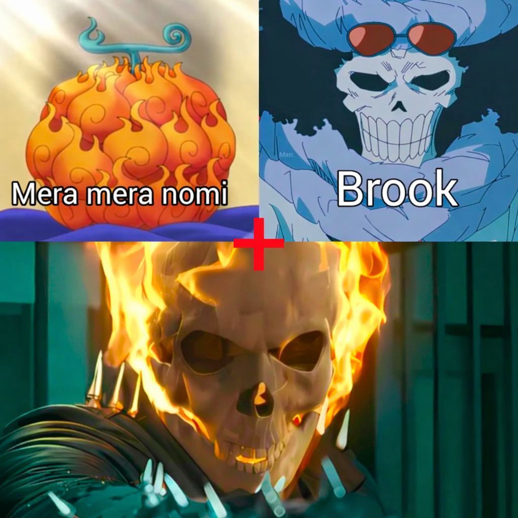 海贼王 海贼王 当布鲁克＋烧烧果实 