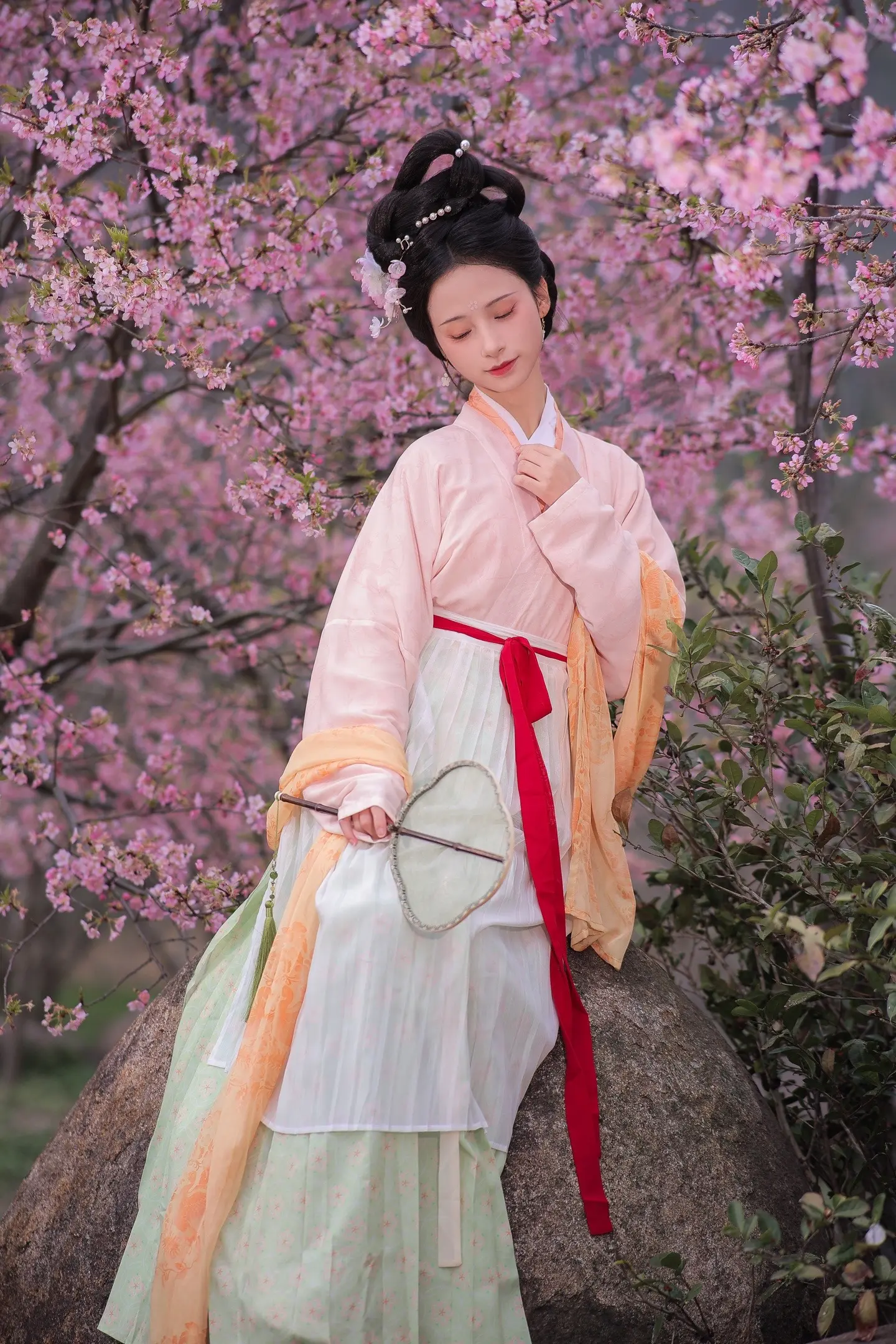 春风起，樱花烂漫时。