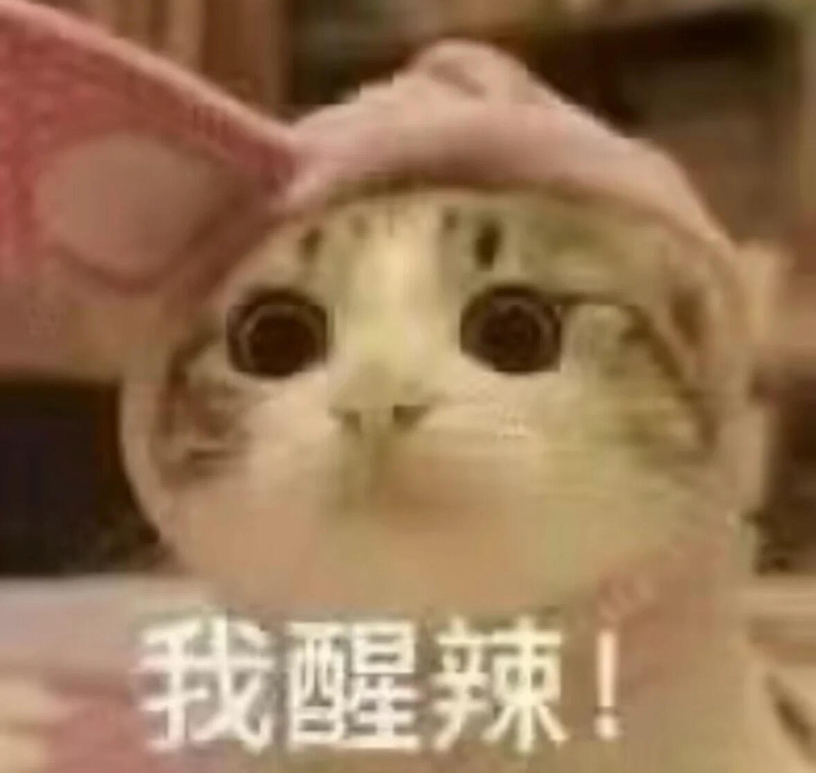 分享图片 ​​​