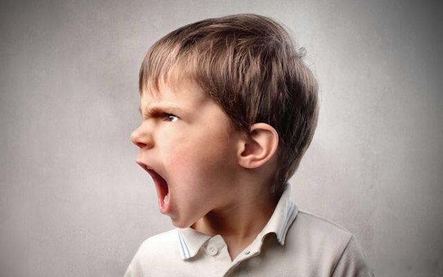 坏脾气的消失，可以准确地反映智慧的增长。生活手记