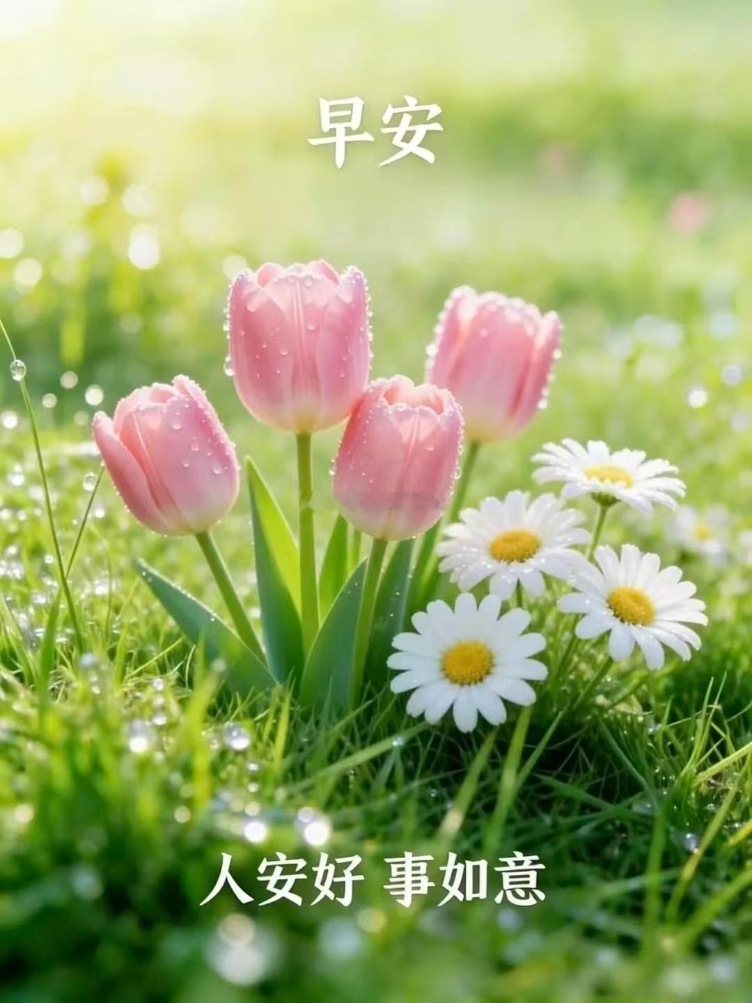 【周一，早安】生活不会事事如愿， 但可以事事尽心。 该努力时努力，该放松时放松。