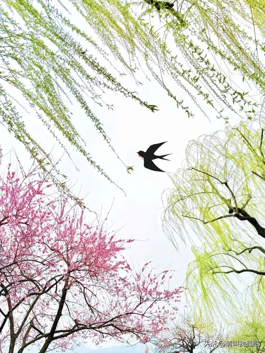 看到这张照片你的第一反应是什么？