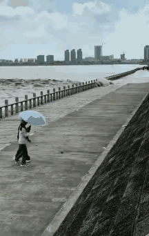 惊呆所有人:大早上的，吓得手机都掉了，这两个女子心真大，一点敬畏之心都没有，黑衣