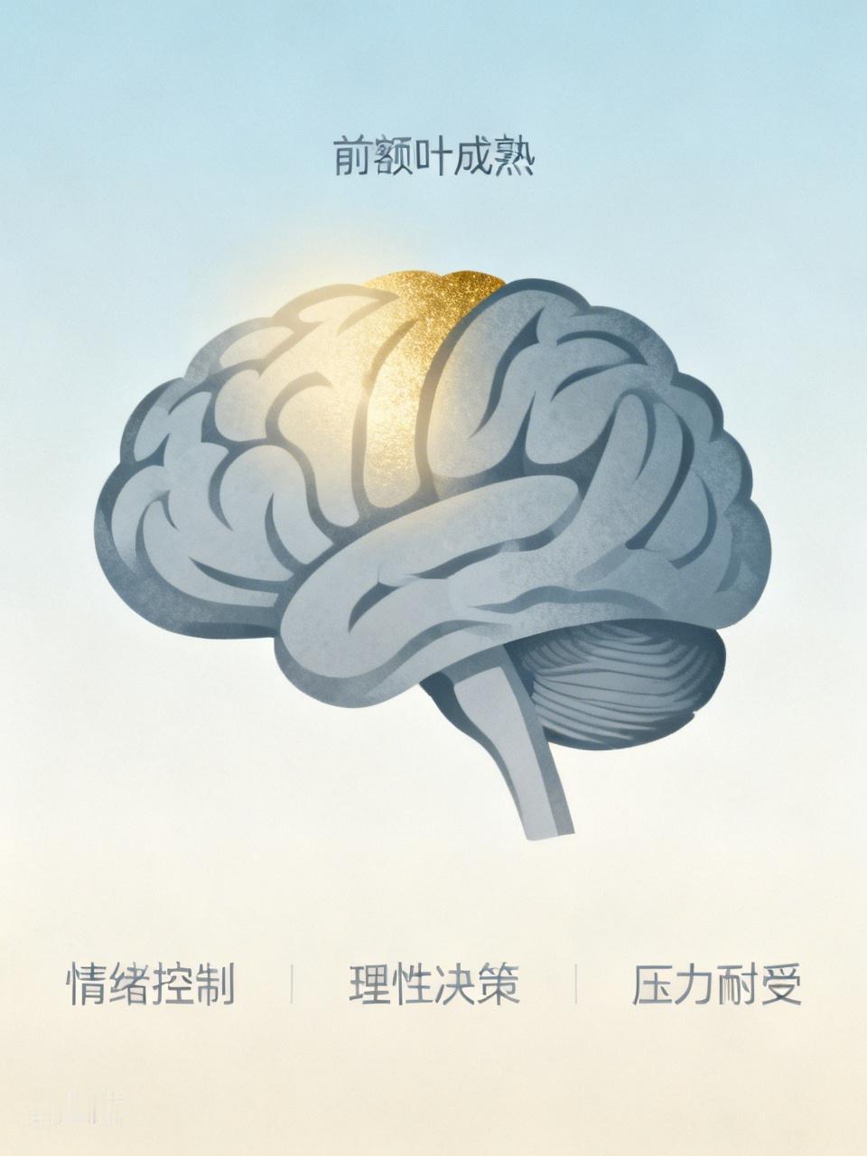 原来前额叶成熟，是这种感觉
 
终于知道为什么很多人到了25岁前后，好像突然就“