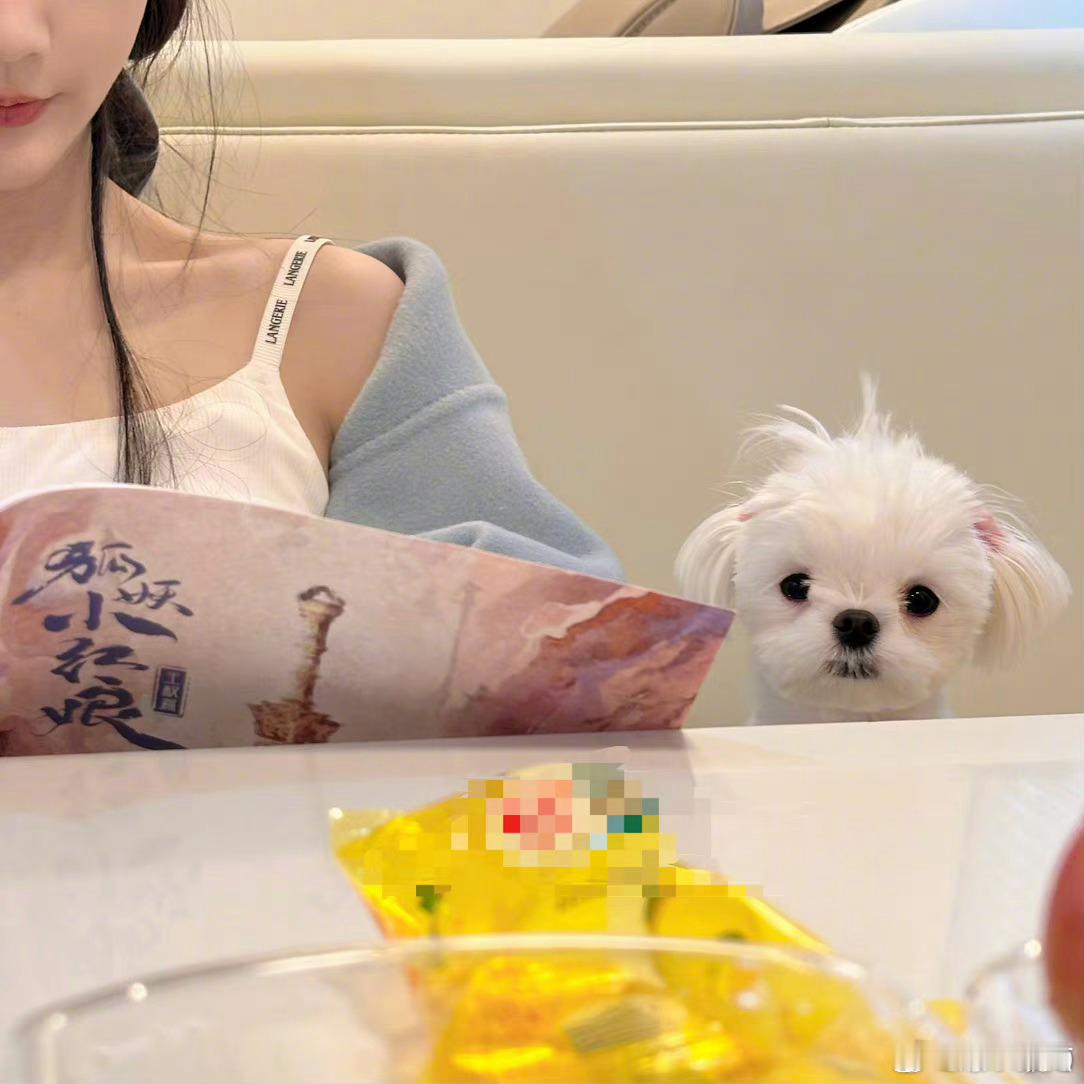 李一桐晒自己和小狗合照，肉肉是在咬着牙线吗[笑cry] ​​​