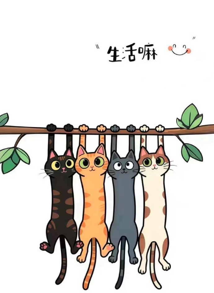 ໑ຼₒ₂₆              一路走来，谈何容易，           