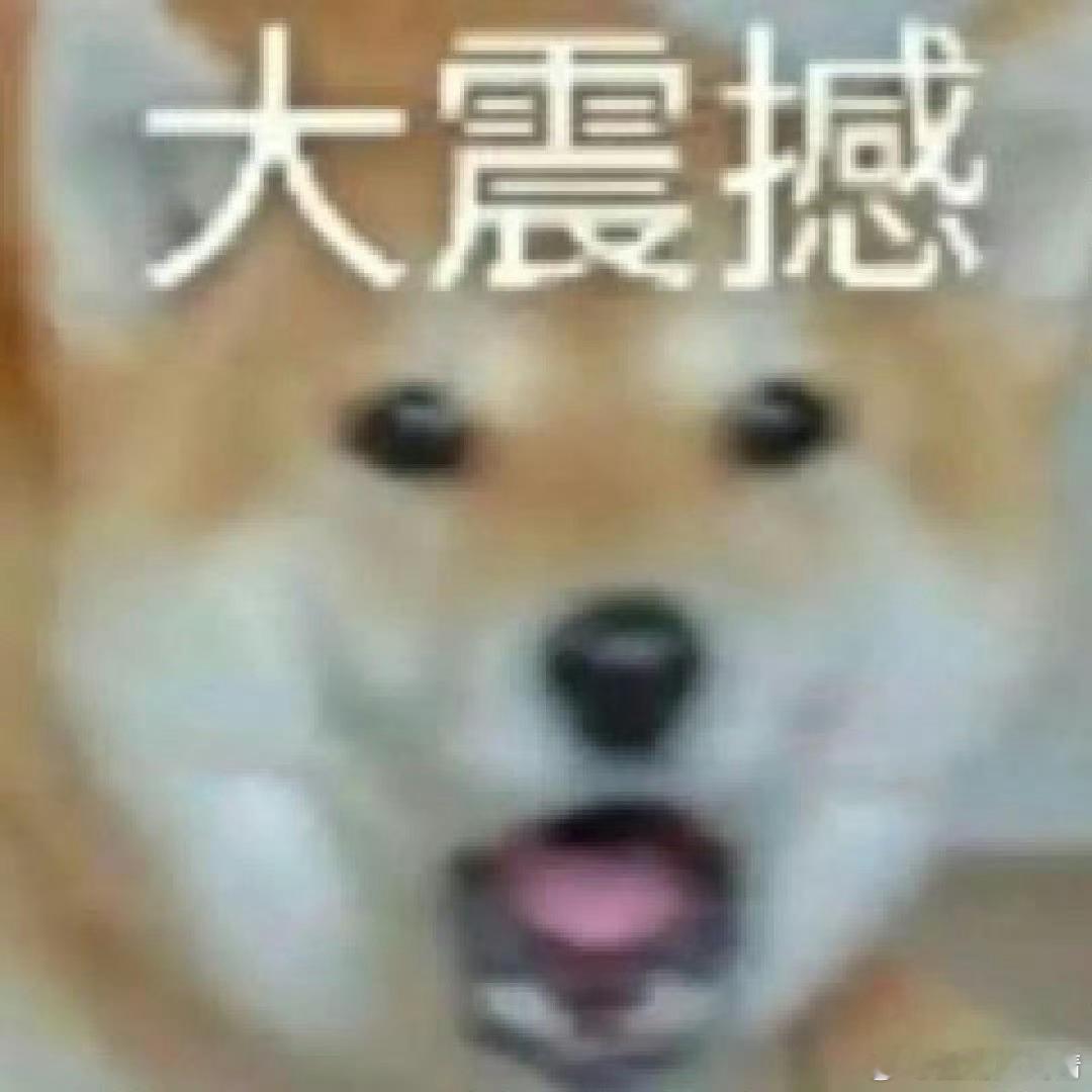 曝最终版白玉兰男主提名还整上数字了，你们觉得是谁呢？