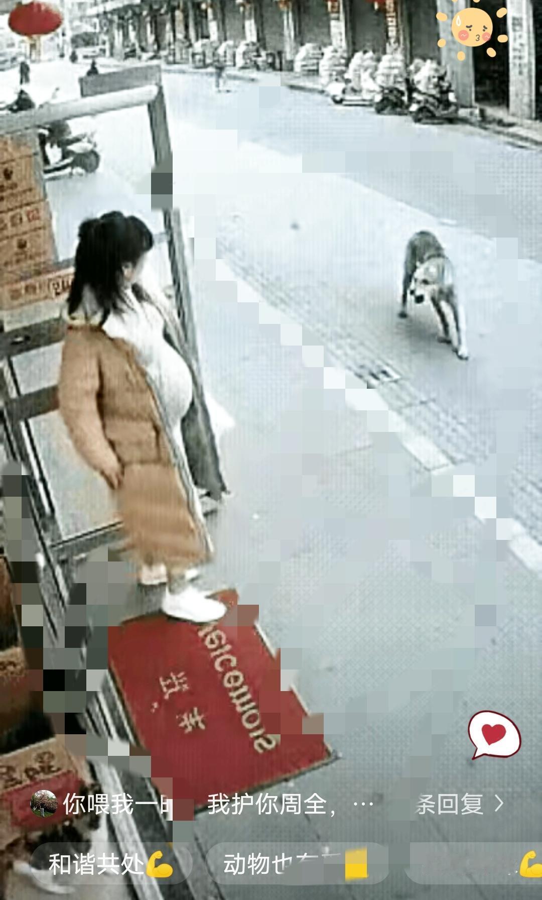 善良从不会被辜负，连小动物都懂“投桃报李”！

预产期临近的李女士放不下常投喂的