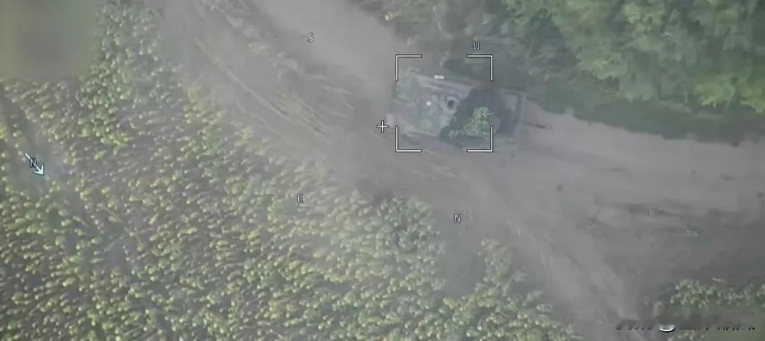 俄国防部8月12日称，过去一天，在库尔斯克方向，俄军消灭乌军260多名，3辆坦克