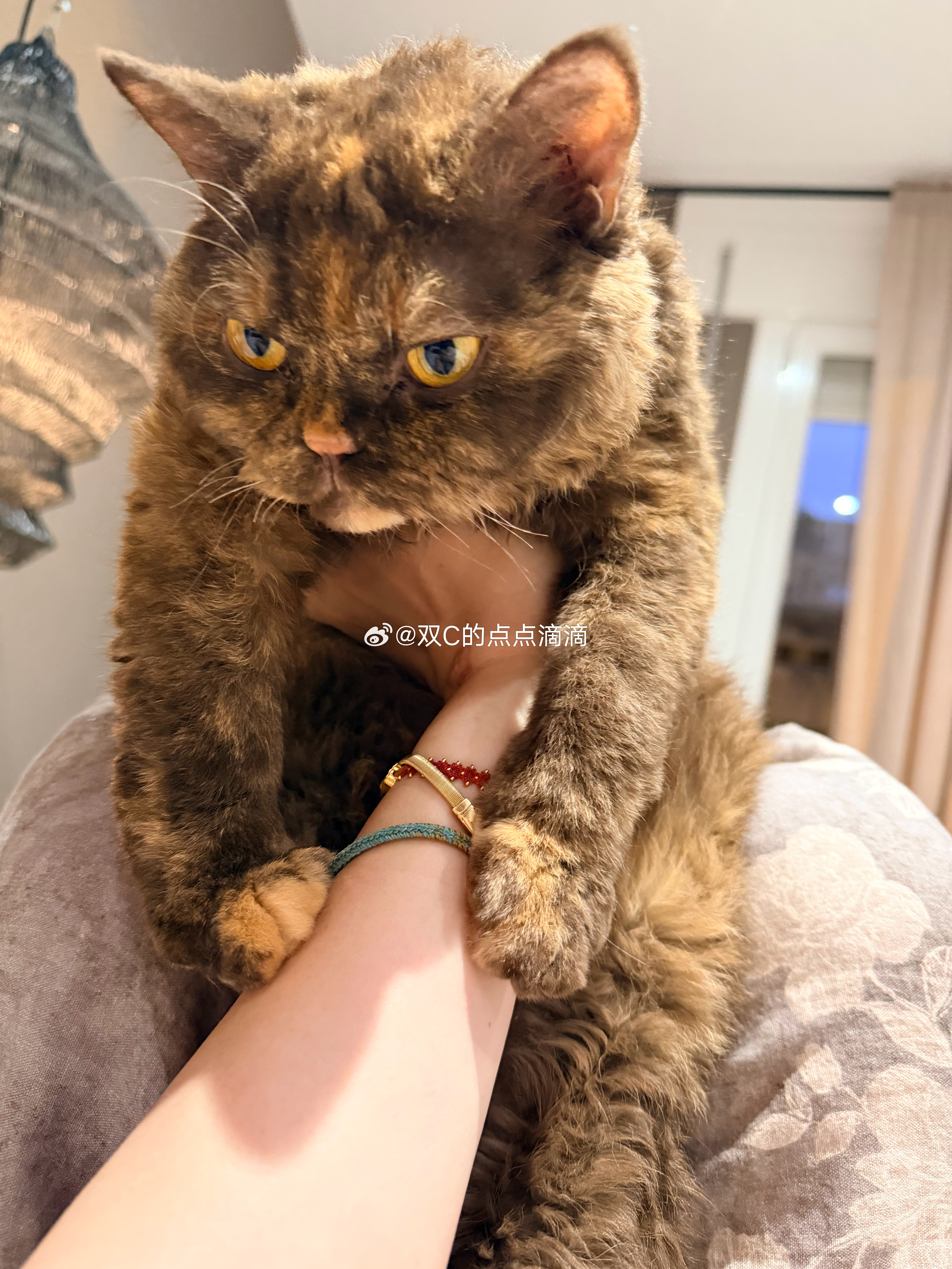 小胖纸 ​​​