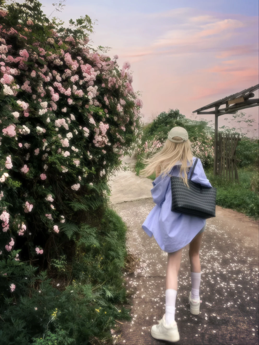 Pink dream🐈 ᶻ 𝘇