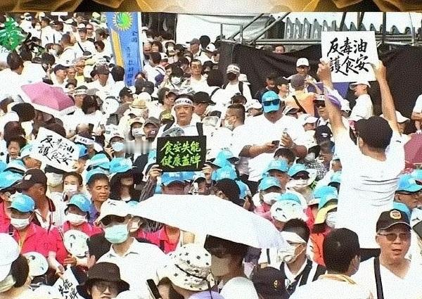 台湾终于也因食品安全问题爆发大规模抗议了，超过20万台湾民众走上台北凯道。事情起