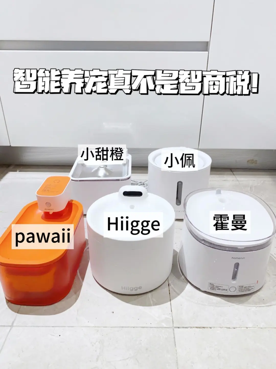 推荐这两款风很大的宠物饮水机！