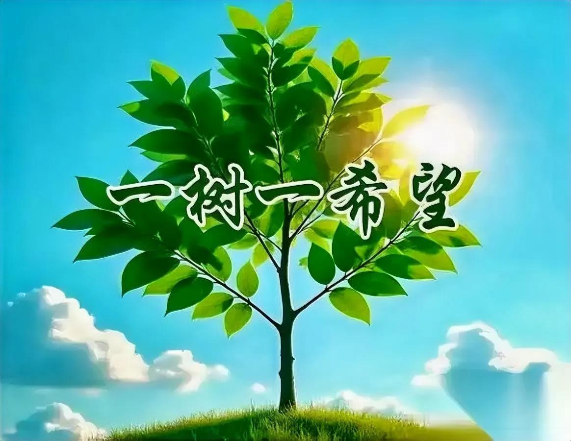 家长会听到个扎心真相

现在孩子躺平厌学有多离谱？

昨天听名师分享才知道，现在