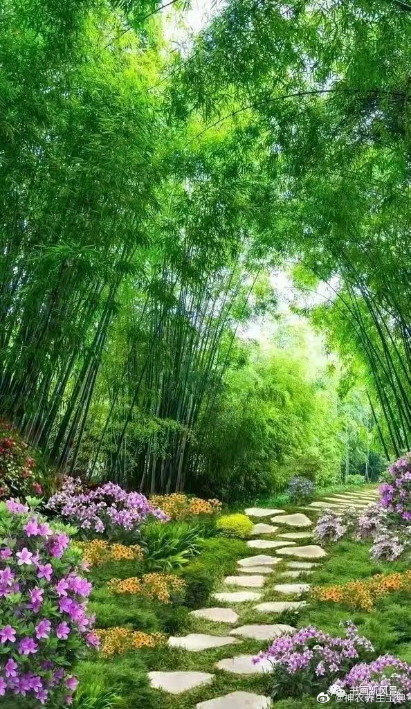 陈潮祖：此方可治一切阴津亏损之证[赞啊]#国医的精诚力量#陈潮祖 陈潮祖医学论坛