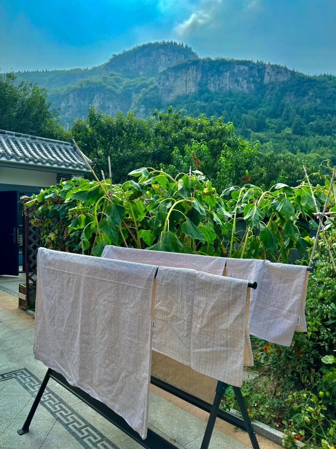 黄帝内经：☁️🌿女子在家静养是大补（气郁篇）