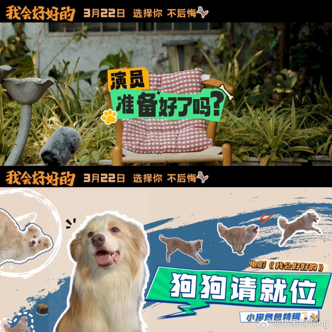 张子枫新片狗狗演戏会临场发挥张子枫说小狗的眼神最真诚真的要被塔塔可爱晕了，不仅可
