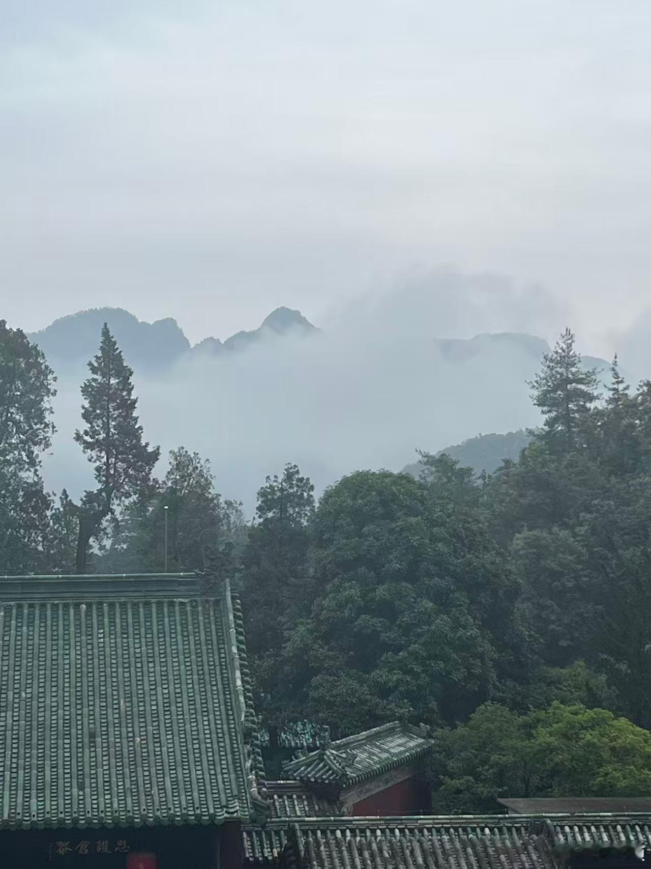 🌊图书馆里考研的要求看小说的让座🌊图书馆里考研的要求看小说的让座      
