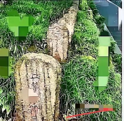 这下好了！腾冲又一次硬气拒绝日本！这次日方想拿3.5亿修高速换日军将领藏重康美的