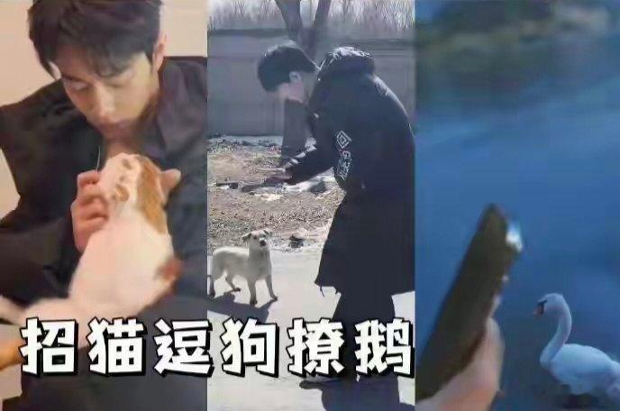 内娱独一份：肖战剧组，从来“无恋可磕”，不管是搭档顶流女星、新生代小花，还是青年