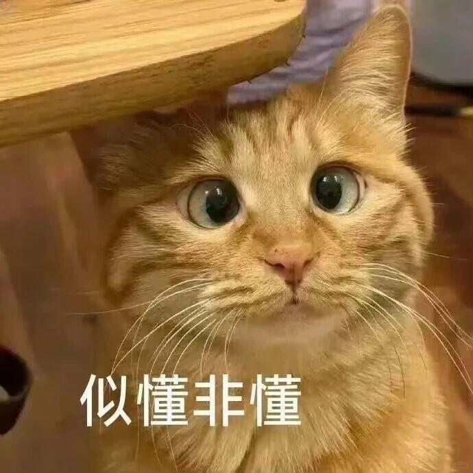 王鹤棣潮牌说拒绝一切80行为啊？这是官方店铺说的吗？？ 