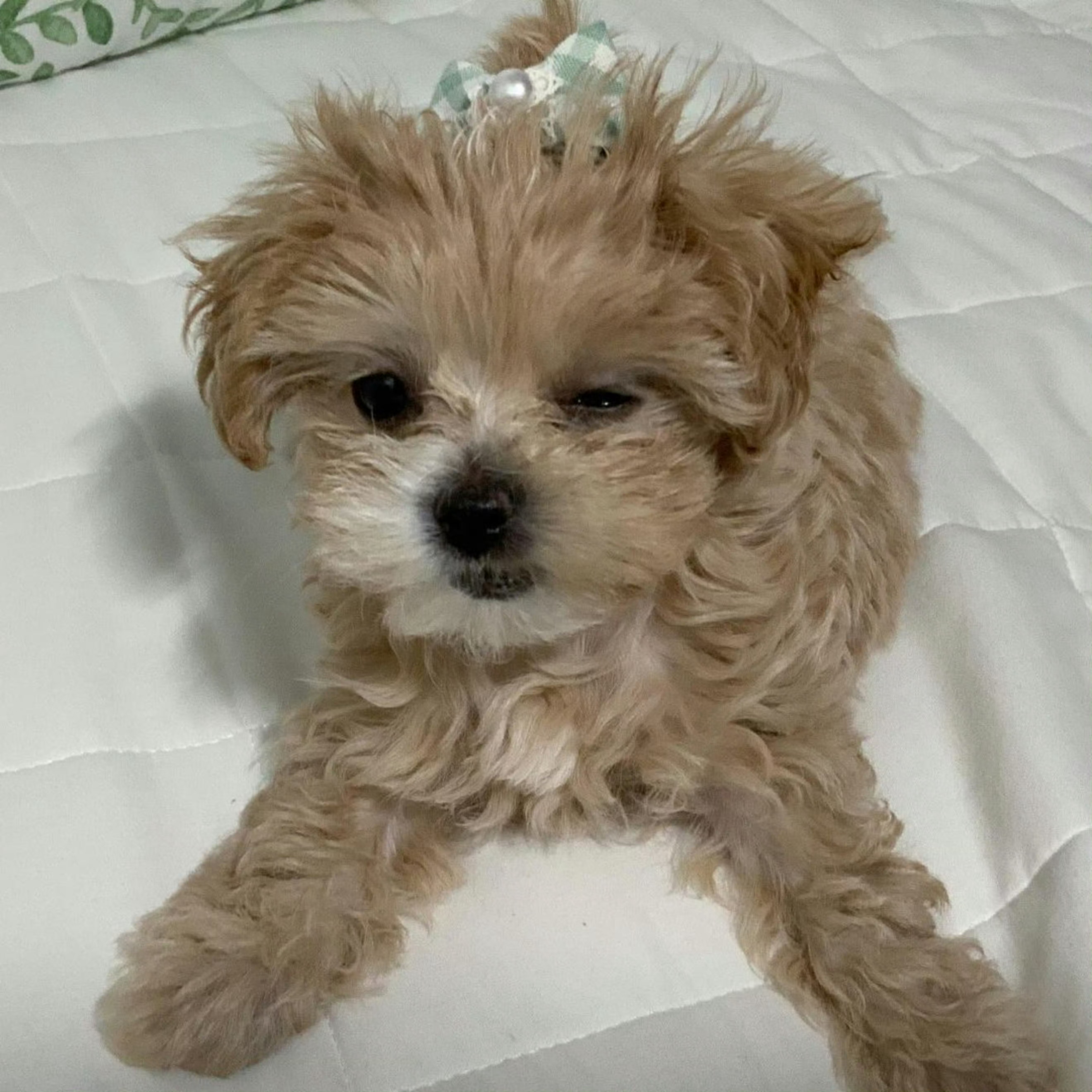 hi～ 