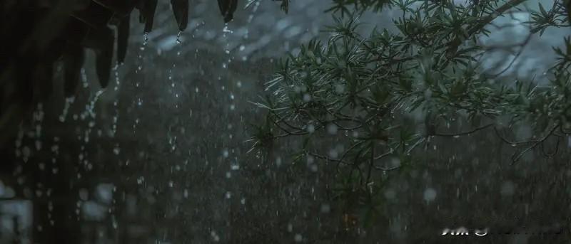 这雨是半夜里来的。先是几滴试探地敲在窗上，疏疏的，像远客迟疑的叩门声。后来便放开