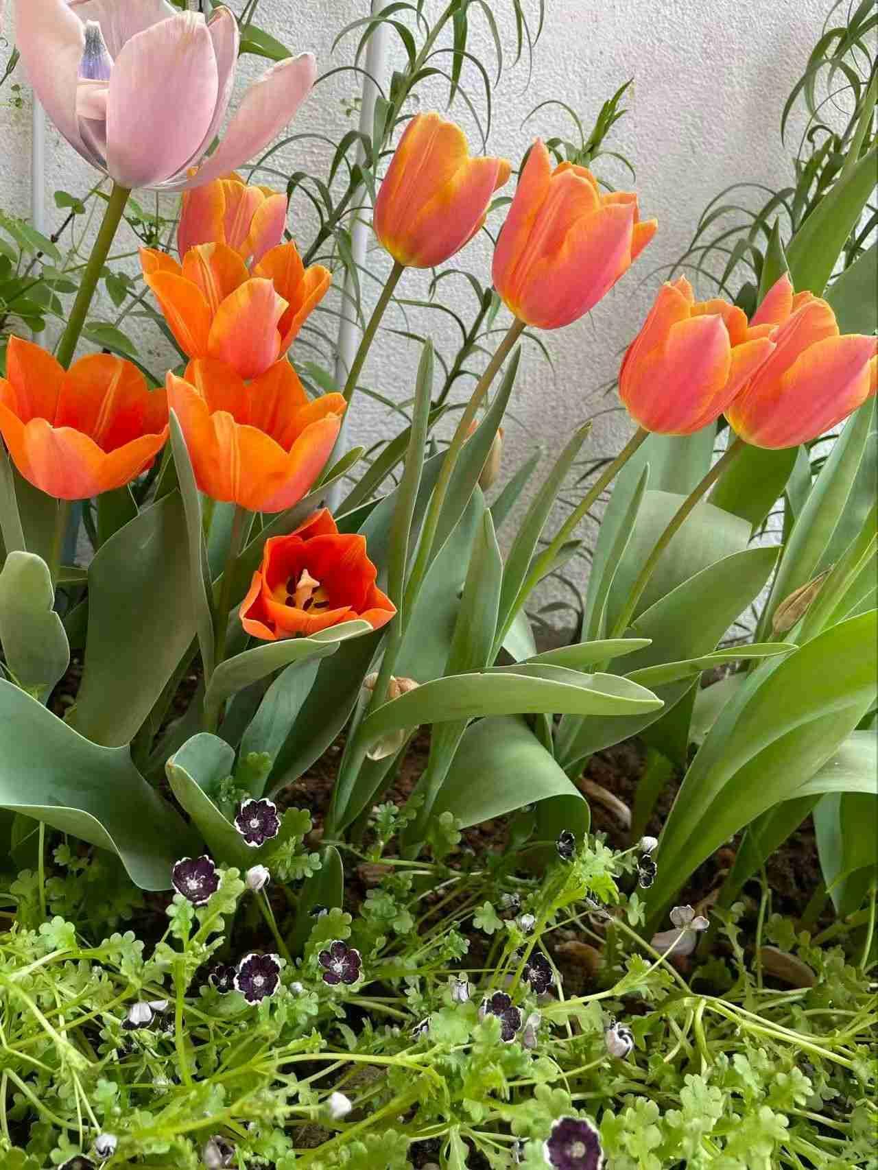 我的今日状态：🏝️旅行度假
我这里的天气：☀️晴天