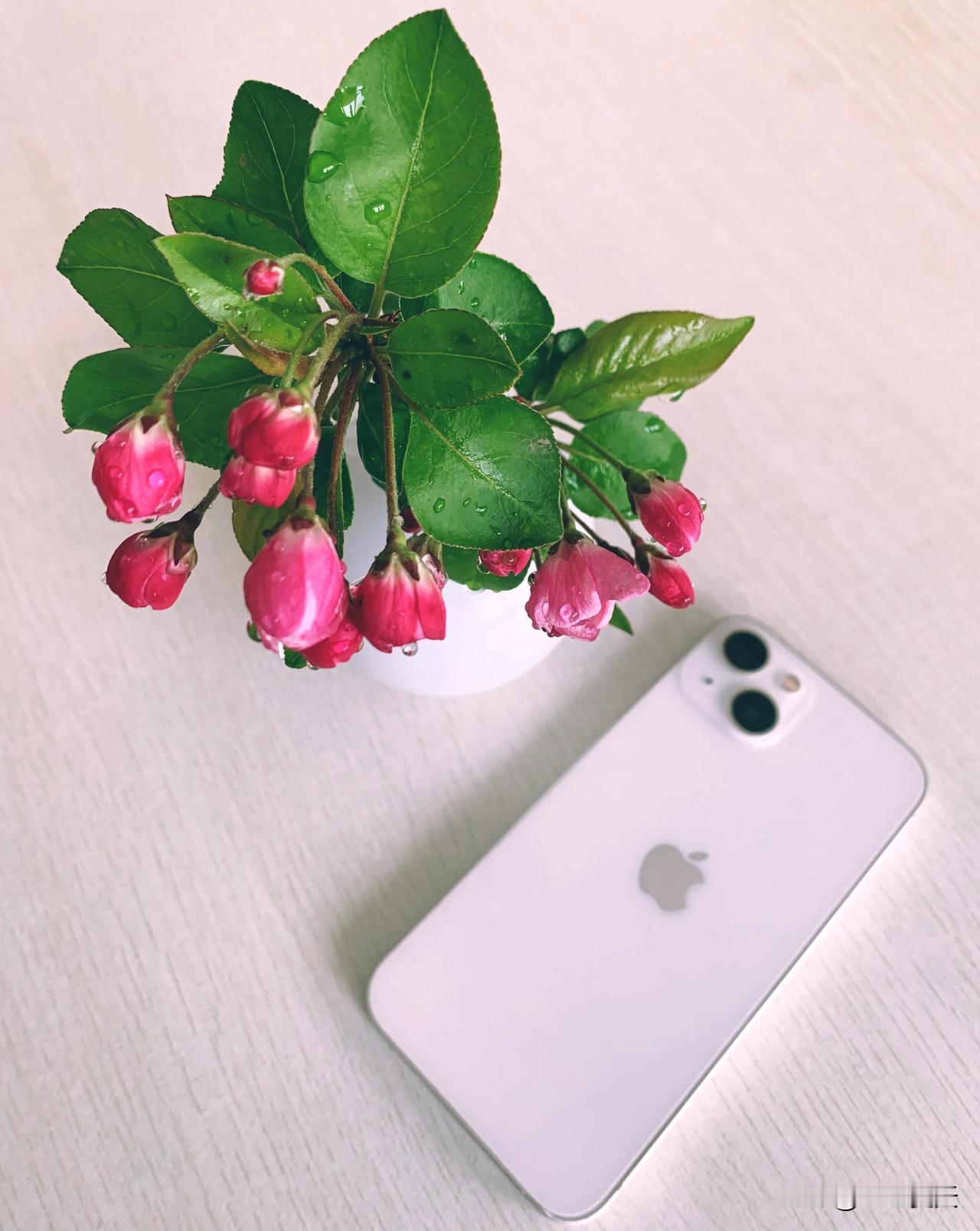 iPhone15是否要换iPhone16吗？
数据显示，人们现在平均每4到5年才