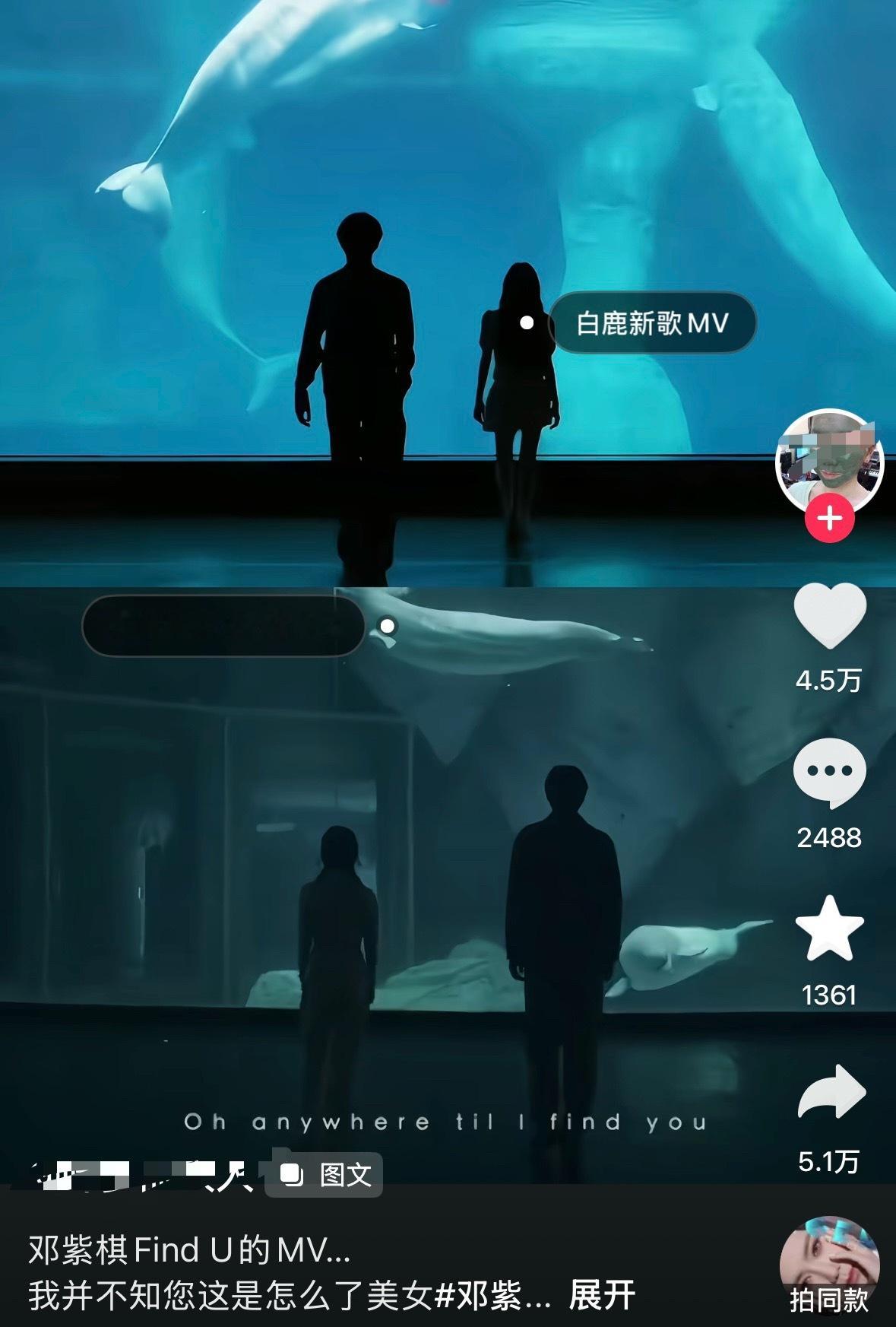 白鹿周翊然新歌《透明恋人》MV和邓紫棋启示录专辑里《Find U》MV部分片段高