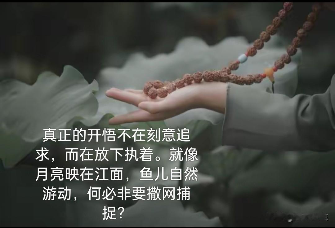在河岸观水中月，不如跳到水中去抱月。
这有什么本质的不同？敬请大德们参与回答！